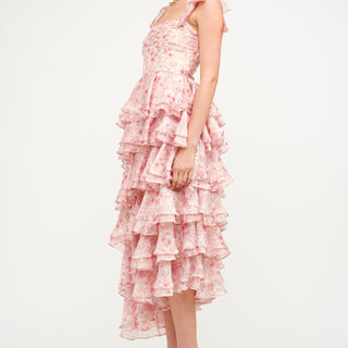 FLORAL ROSE DRESS